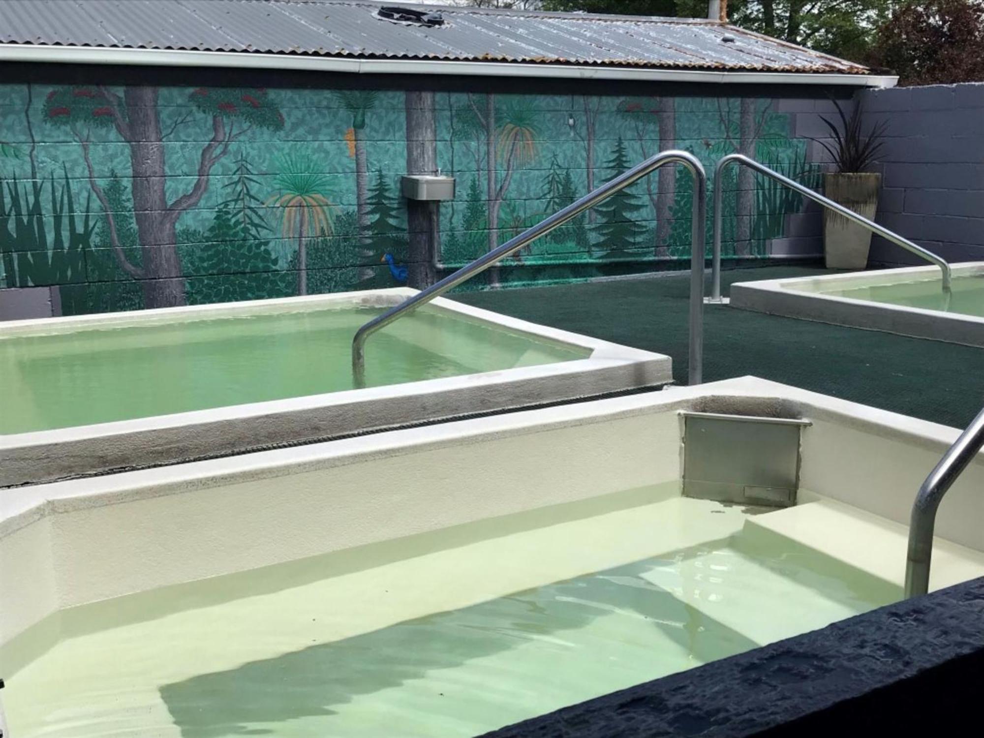 Rotorua Thermal Holiday Park Εξωτερικό φωτογραφία